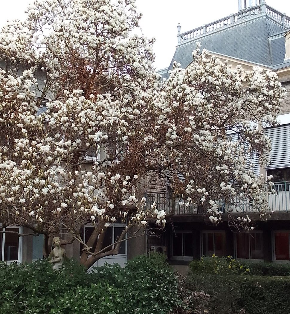 Parc de la Mairie 3